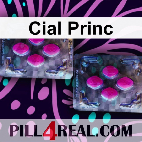 Cial Princ 550