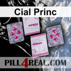 Cial Princ 559