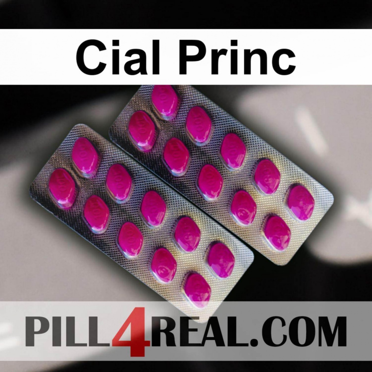 Cial Princ 560