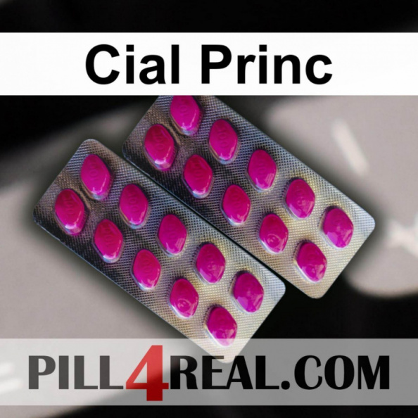 Cial Princ 560
