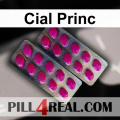 Cial Princ 560