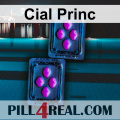 Cial Princ 586