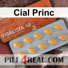 Cial Princ 615