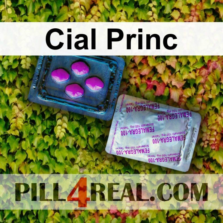 Cial Princ 617