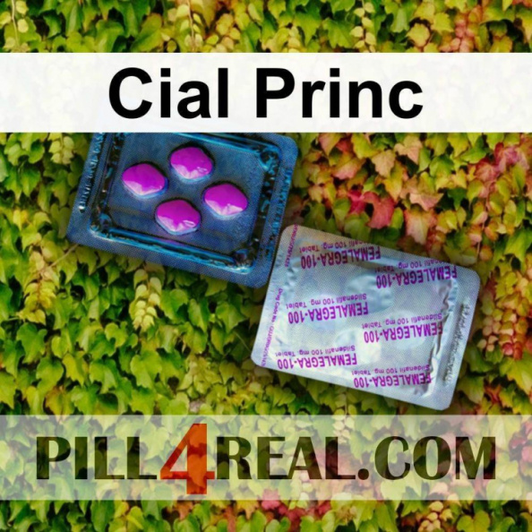 Cial Princ 617