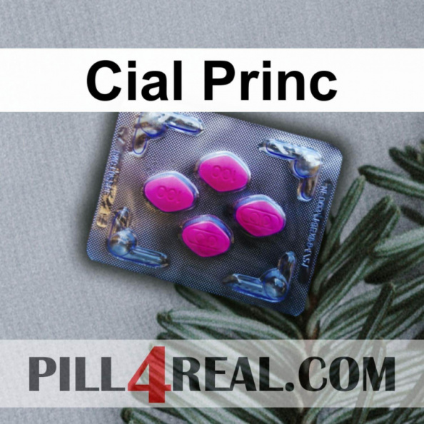 Cial Princ 628