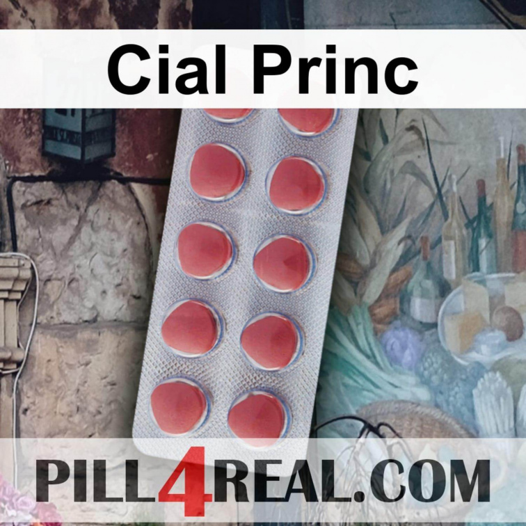 Cial Princ 647