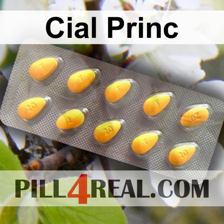 Cial Princ 729