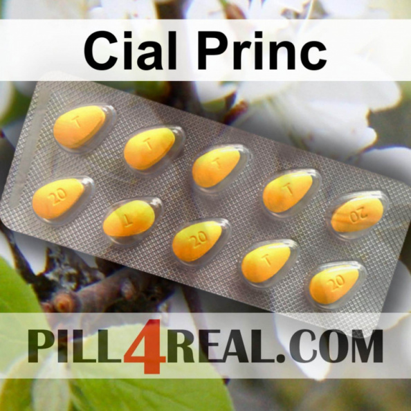 Cial Princ 729