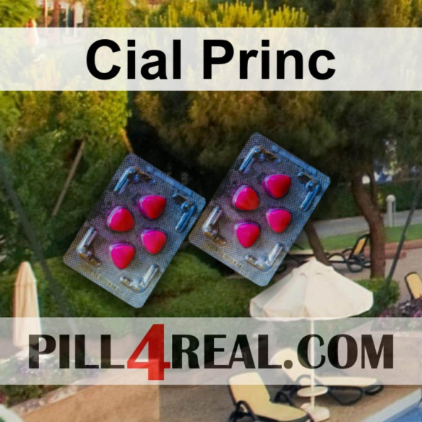 Cial Princ 736