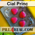 Cial Princ 742