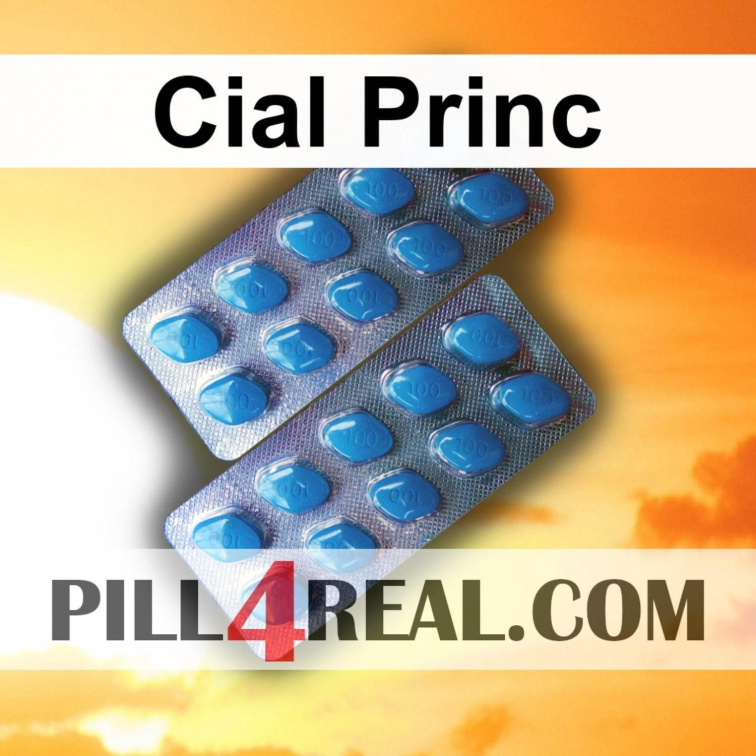 Cial Princ 784