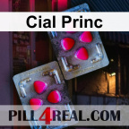 Cial Princ 849