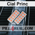 Cial Princ 864