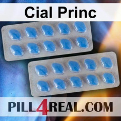 Cial Princ 912