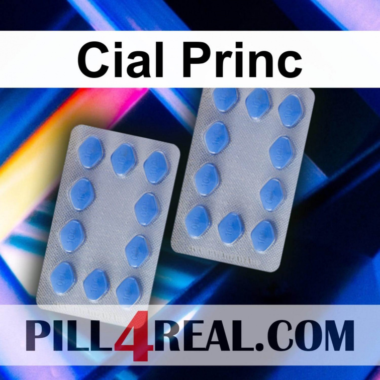 Cial Princ 914