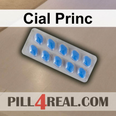 Cial Princ 920