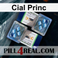 Cial Princ 926