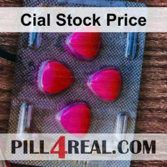 Cial Stock Price 059
