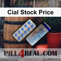 Cial Stock Price 062