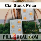 Cial Stock Price 069