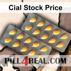 Cial Stock Price 101