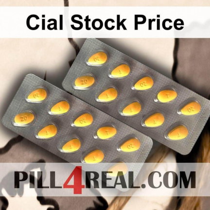Cial Stock Price 101