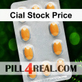 Cial Stock Price 153