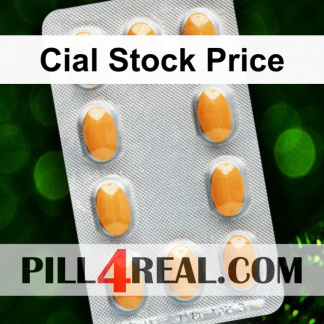 Cial Stock Price 153