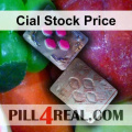 Cial Stock Price 173