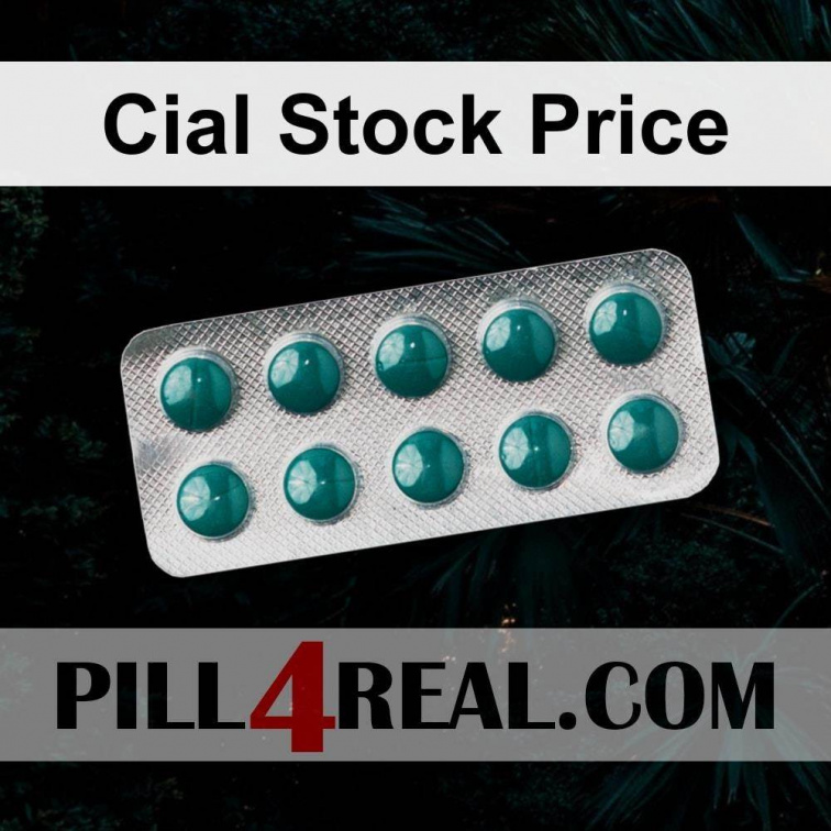 Cial Stock Price 207