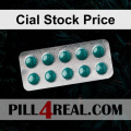 Cial Stock Price 207