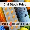 Cial Stock Price 231