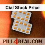 Cial Stock Price 245