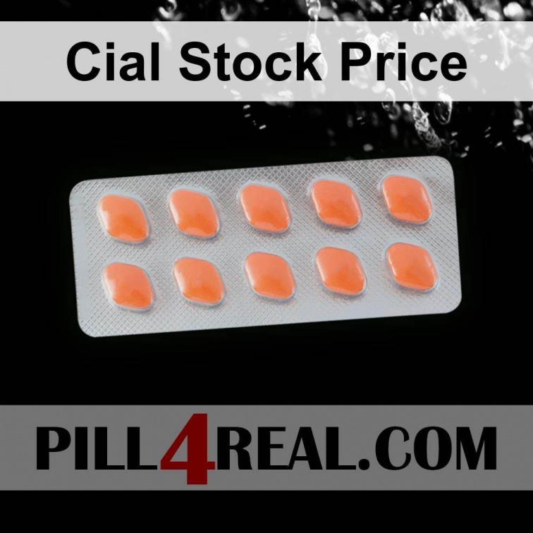 Cial Stock Price 247
