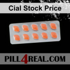 Cial Stock Price 247