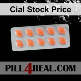 Cial Stock Price 247