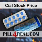 Cial Stock Price 252