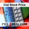 Cial Stock Price 264