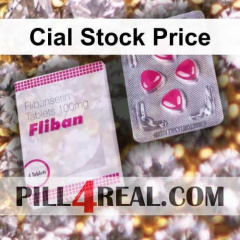 Cial Stock Price 266