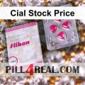 Cial Stock Price 266
