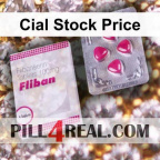 Cial Stock Price 266