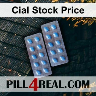 Cial Stock Price 293