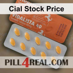 Cial Stock Price 317