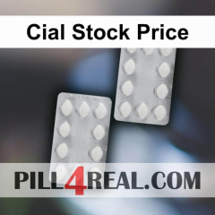 Cial Stock Price 339