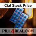 Cial Stock Price 362
