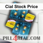 Cial Stock Price 432