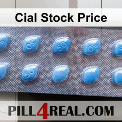 Cial Stock Price 441