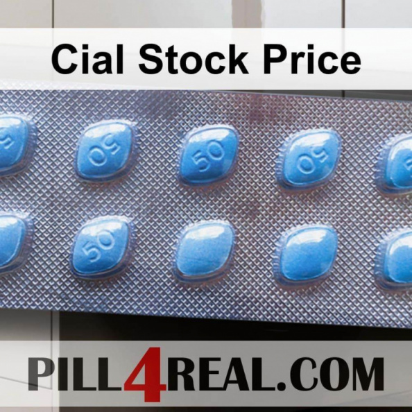 Cial Stock Price 441