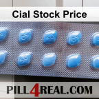Cial Stock Price 441
